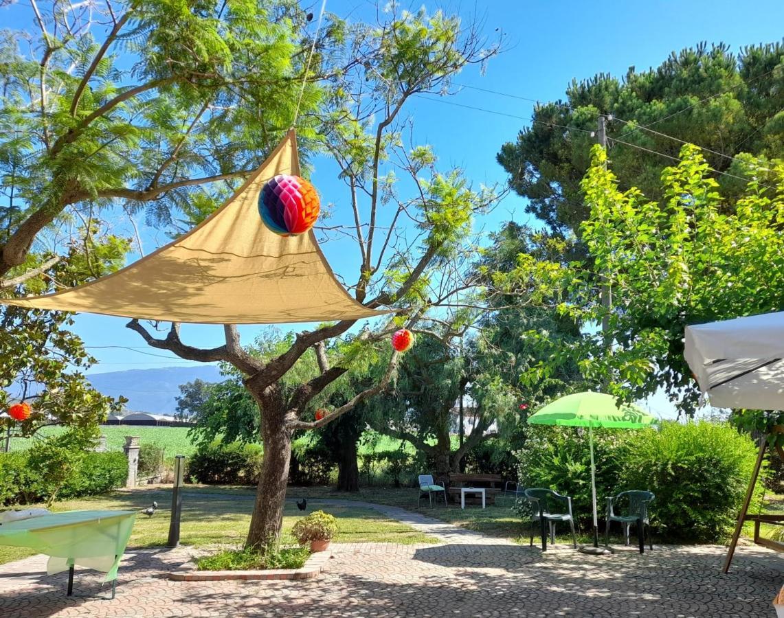 Bed and Breakfast La Quercia Altavilla Silentina Екстер'єр фото