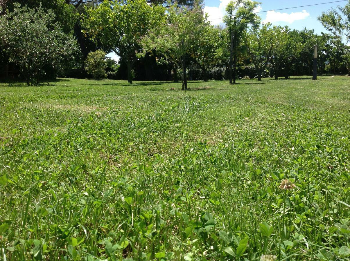 Bed and Breakfast La Quercia Altavilla Silentina Екстер'єр фото
